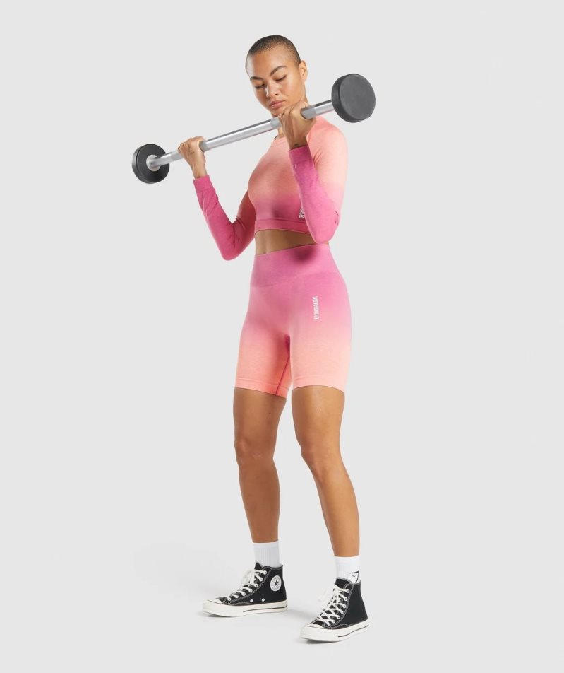 Women's Gymshark Adapt Ombre Seamless Long Sleeve Cropped Tops Pink | CA 6N138D